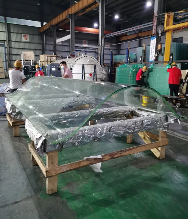 1-6-s-shaped-curved-tempered-glass